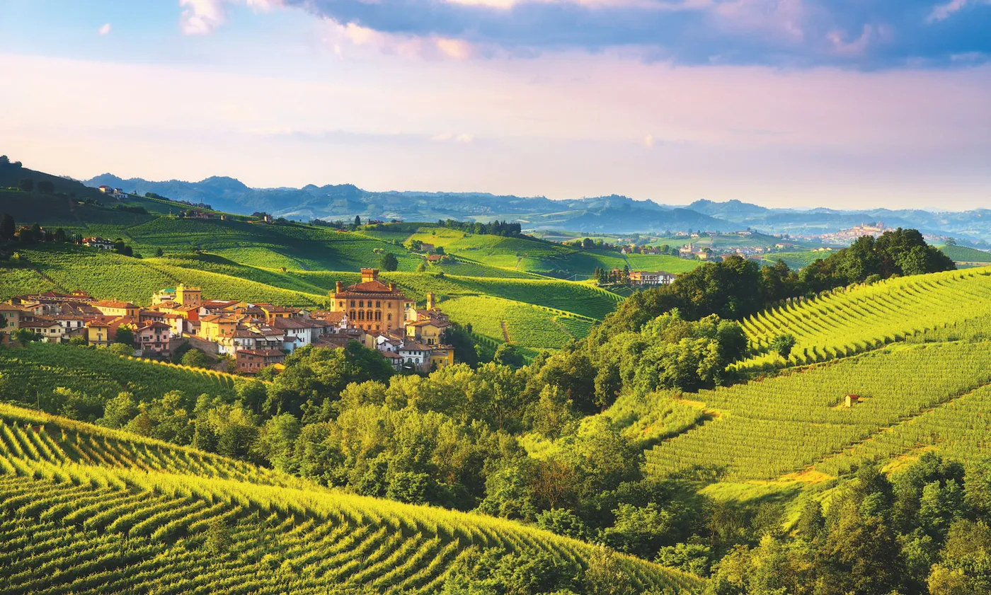 Piemonte Showcases Sustainable Horticulture & Agri-Food Innovation at Myplant & Garden Middle East 2025