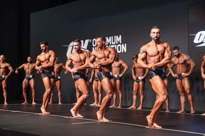 Muscle