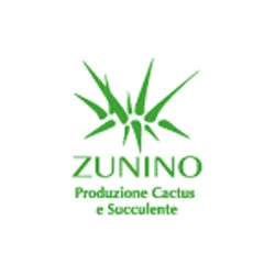 Zunino Cactus / FlexiFlora