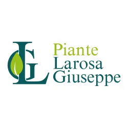 PIANTE MEDITERRANEE DI LAROSA GIUSEPPE