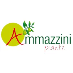 Ammazzini Piante