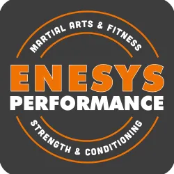 ENESYS PERFORMANCE