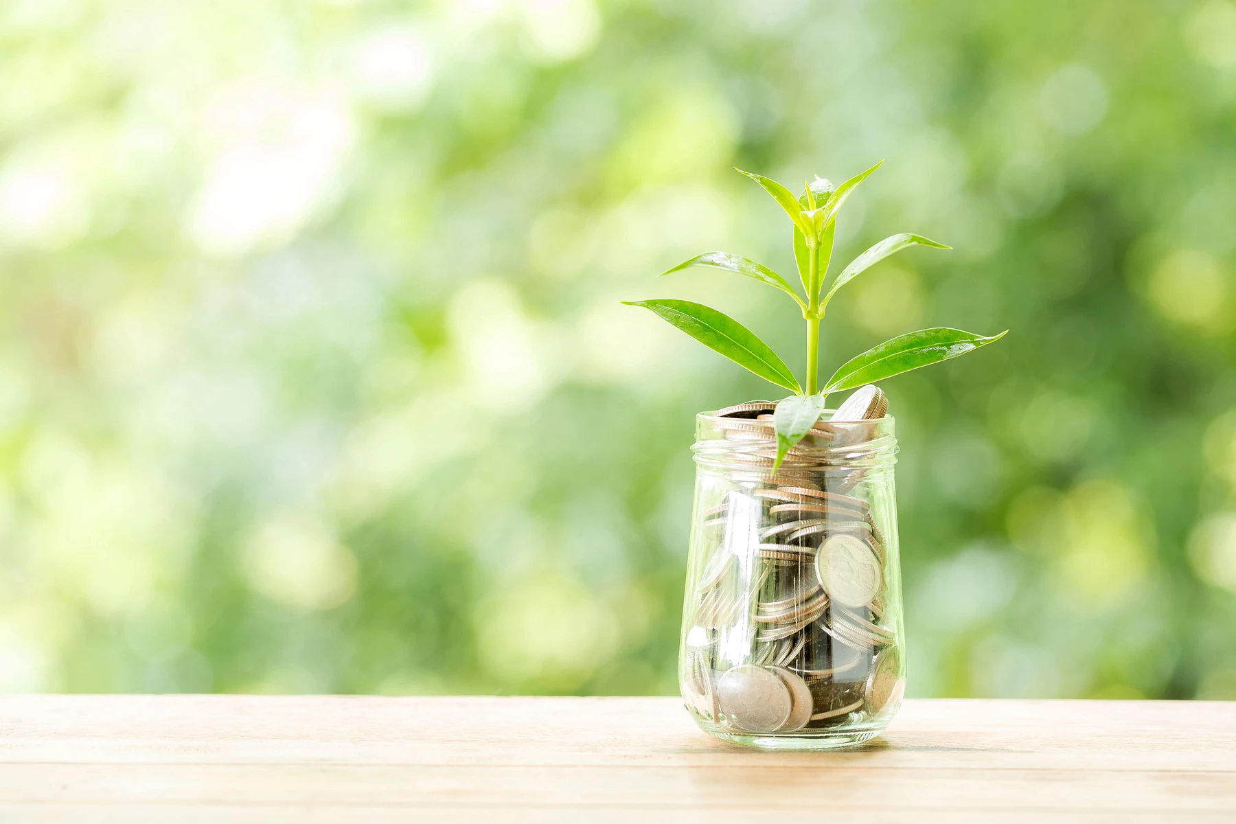 A small plant growing from a jar filled with coins, set on a wooden surface against a blurred green background, symbolizing financial growth.