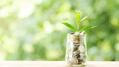 A small plant growing from a jar filled with coins, set on a wooden surface against a blurred green background, symbolizing financial growth.