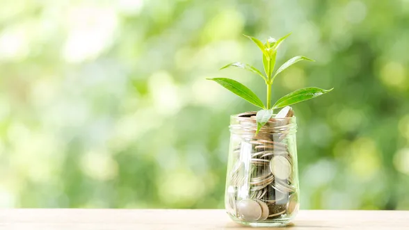 A small plant growing from a jar filled with coins, set on a wooden surface against a blurred green background, symbolizing financial growth.