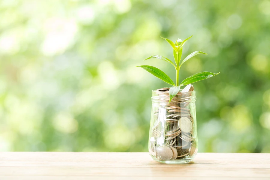 A small plant growing from a jar filled with coins, set on a wooden surface against a blurred green background, symbolizing financial growth.