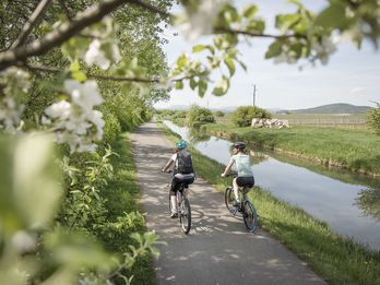 Zwei Radfahrerinnen fahren auf einem idyllischen Radweg entlang eines Kanals, umgeben von blühenden Bäumen und grüner Landschaft unter klarem Himmel.
