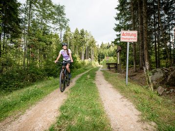 Radfahrerin auf dem EuroVelo 13 entlang der österreichisch-tschechischen Grenze, vorbei an einem Schild mit der Aufschrift „Achtung Staatsgrenze“, umgeben von Wald und Natur.