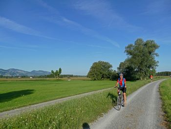 Radfahrer:innen auf einem Schotter-Radweg durch grüne Wiesen im Rheindelta in Vorarlberg (EuroVelo 15), mit Bäumen, Bergen und blauem Himmel im Hintergrund.