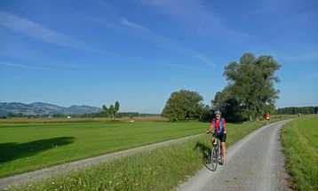 Radfahrer:innen auf einem Schotter-Radweg durch grüne Wiesen im Rheindelta in Vorarlberg (EuroVelo 15), mit Bäumen, Bergen und blauem Himmel im Hintergrund.