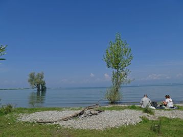 Zwei Personen machen Pause am Ufer des Bodensees beim Rheinspitz in Vorarlberg (EuroVelo 15), mit Kiesstrand, kleinen Bäumen im Wasser und weitem Blick über den See unter blauem Himmel.