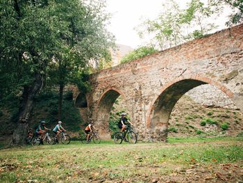 Eine Gruppe von Radfahrern fährt unter einer historischen, mit Ziegeln gemauerten Brücke durch, umgeben von Bäumen und einer grünen Waldlandschaft.