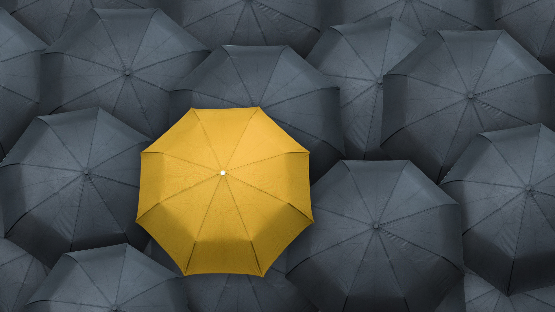 Yellow umbrella standing out among grey umbrellas