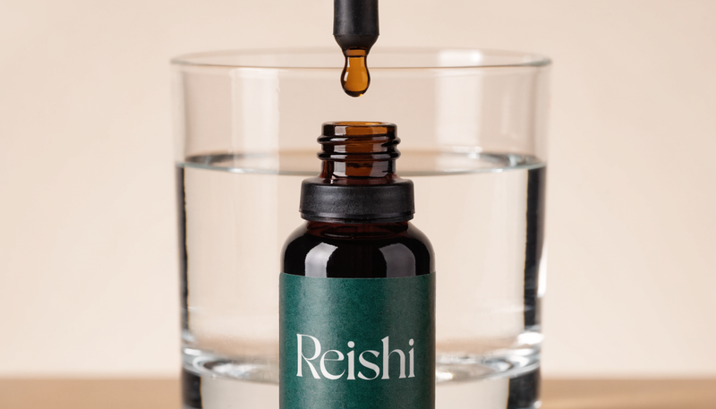 En svamp för ett stressat nervsystem? Därför är Reishi så omtalad