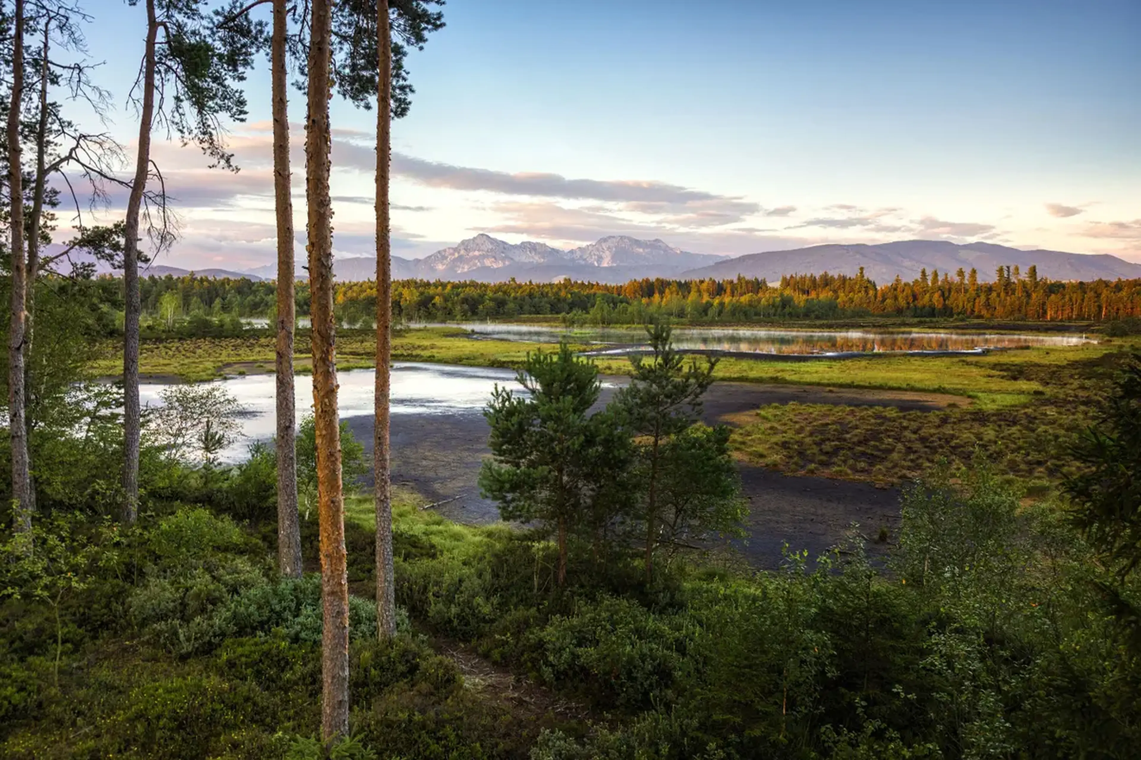 der waginger see im herbst