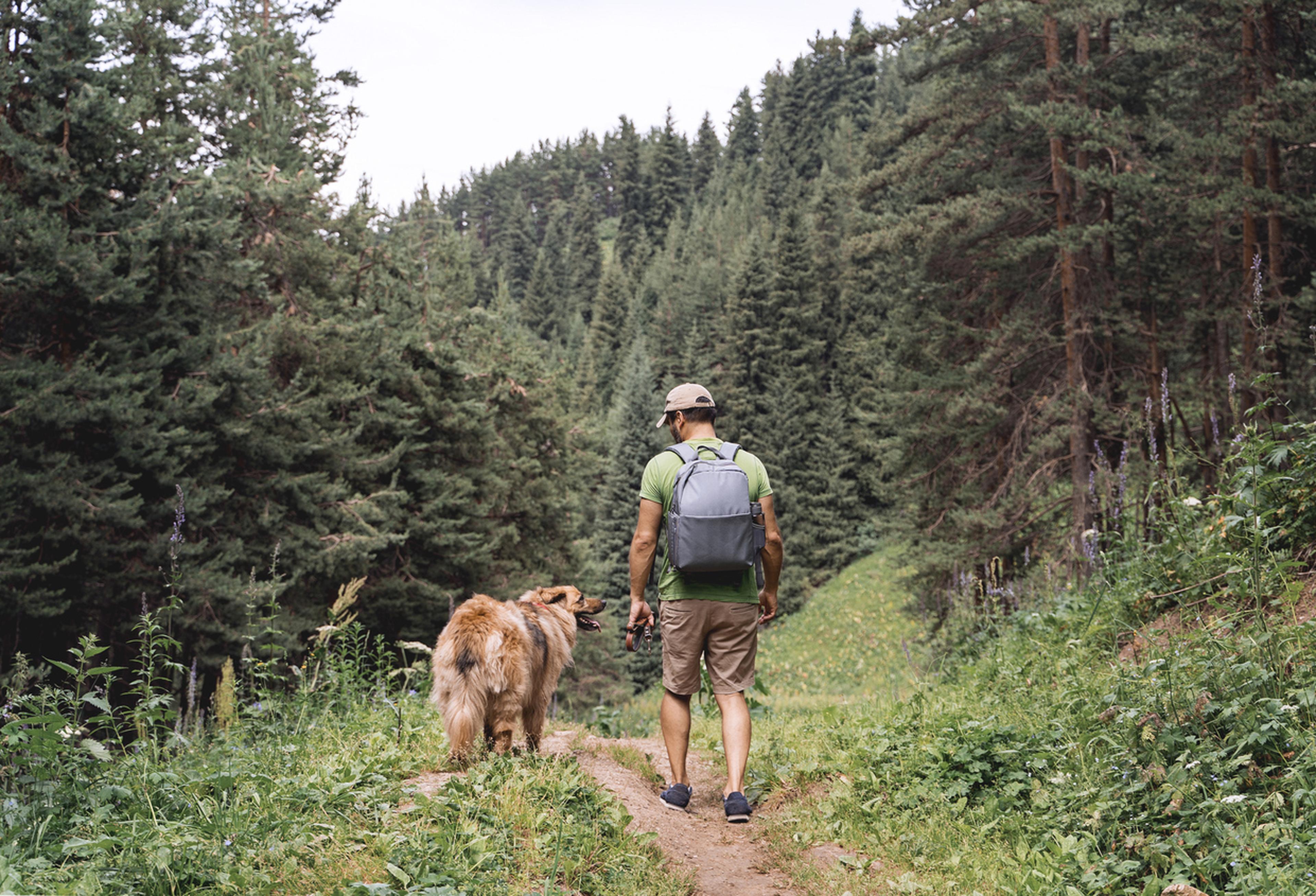Waldwanderung Mann mit Hund