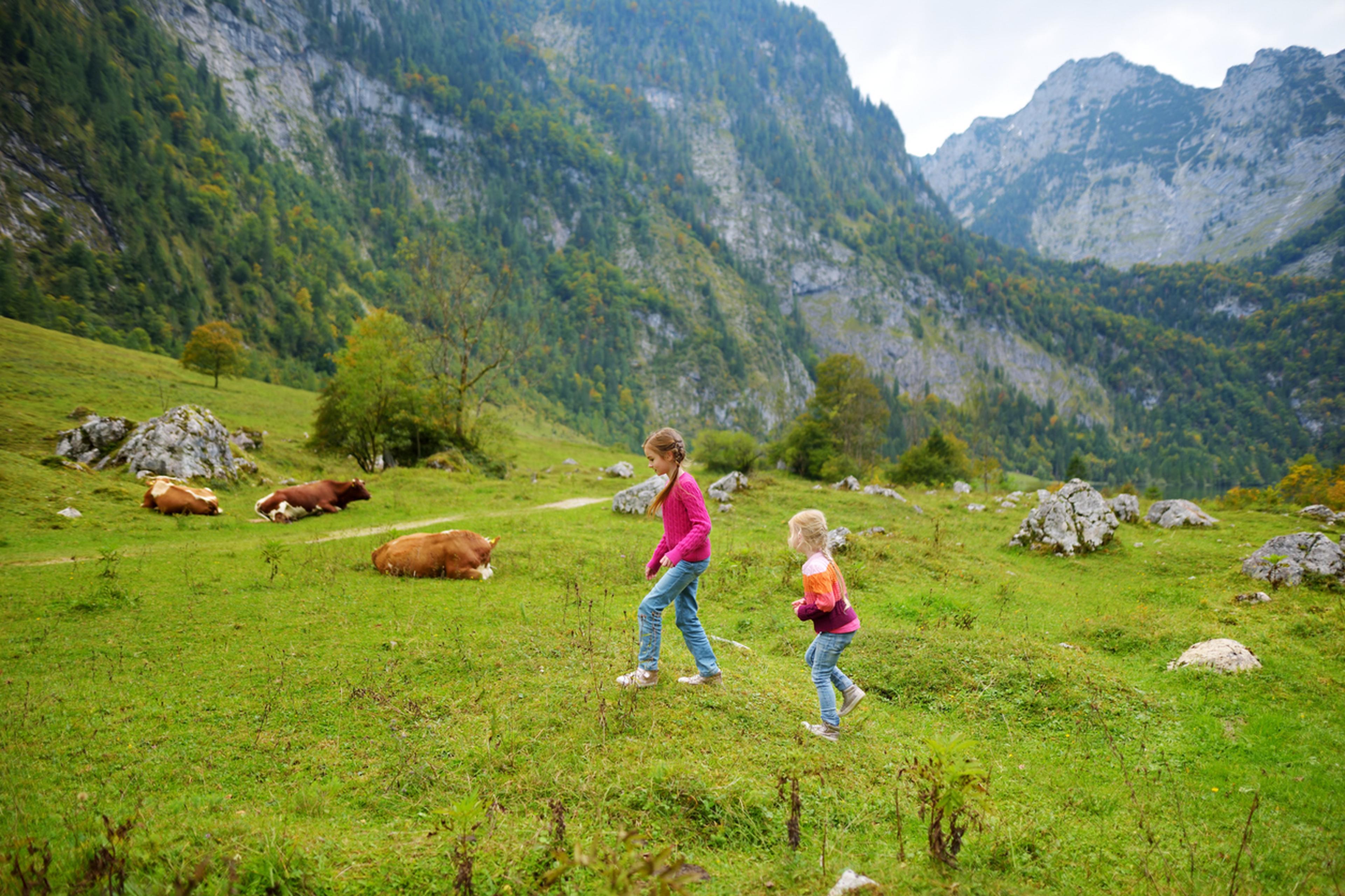 Kinder laufen durch Berglandschaft