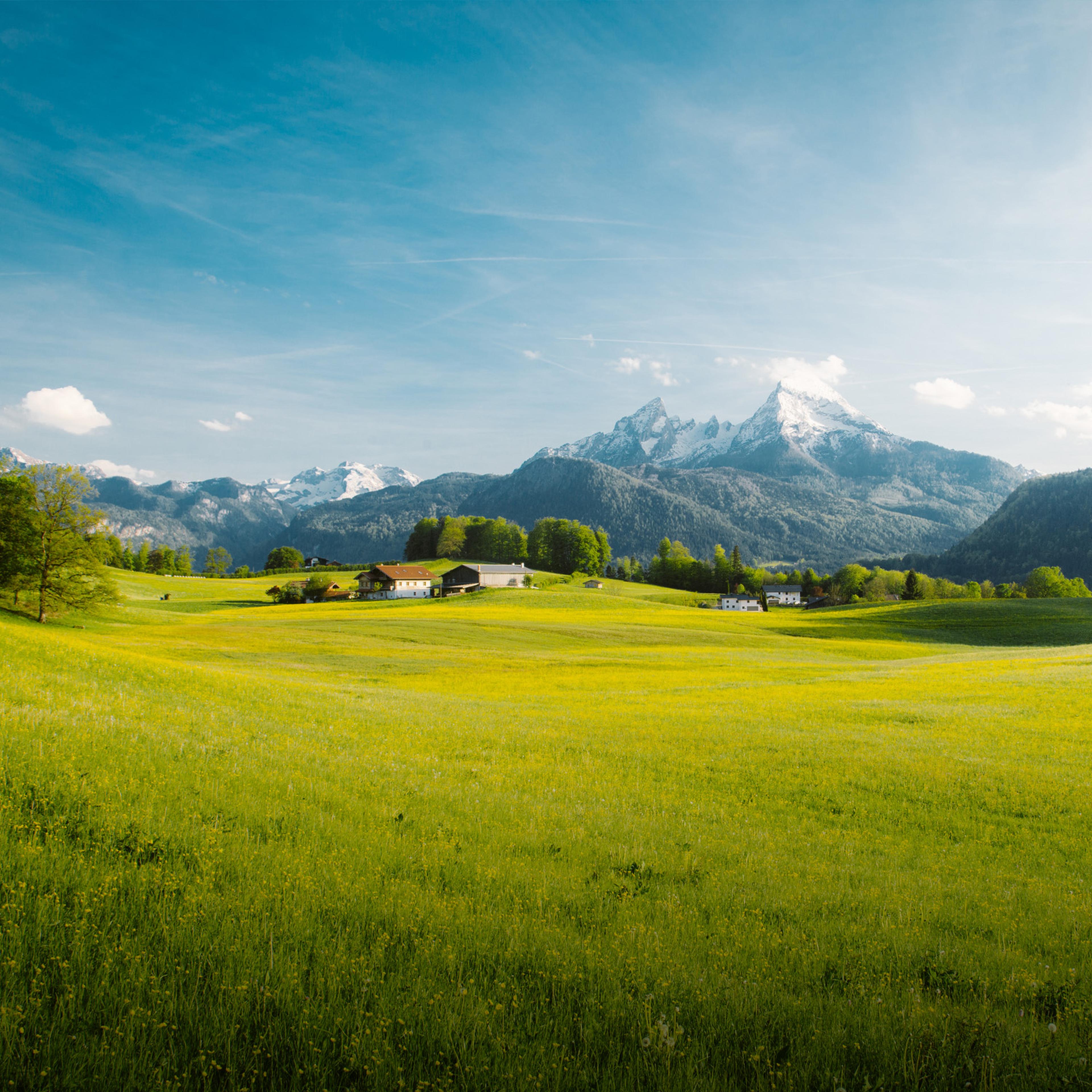 Wiese Berge Bayern
