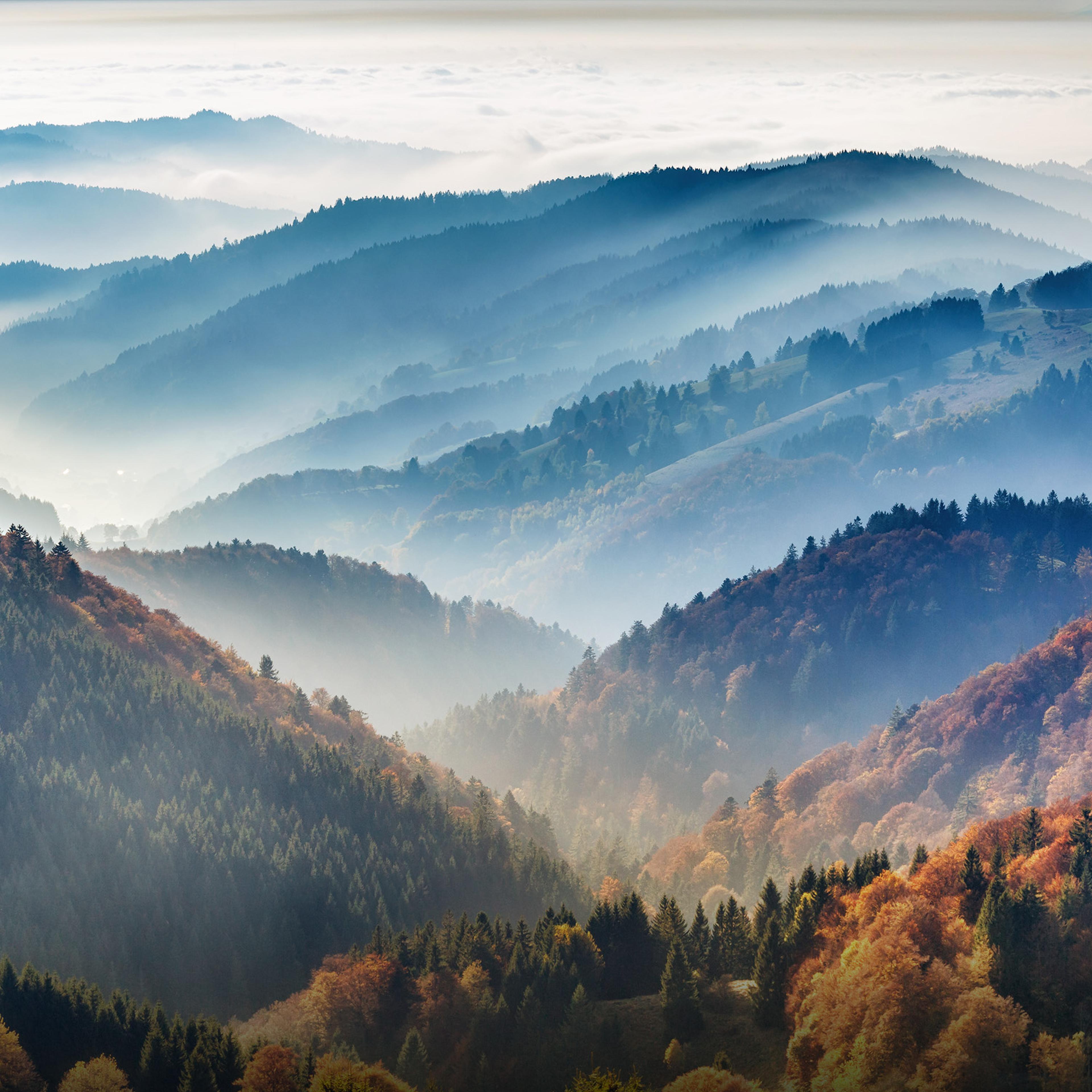 Berge Schwarzwald