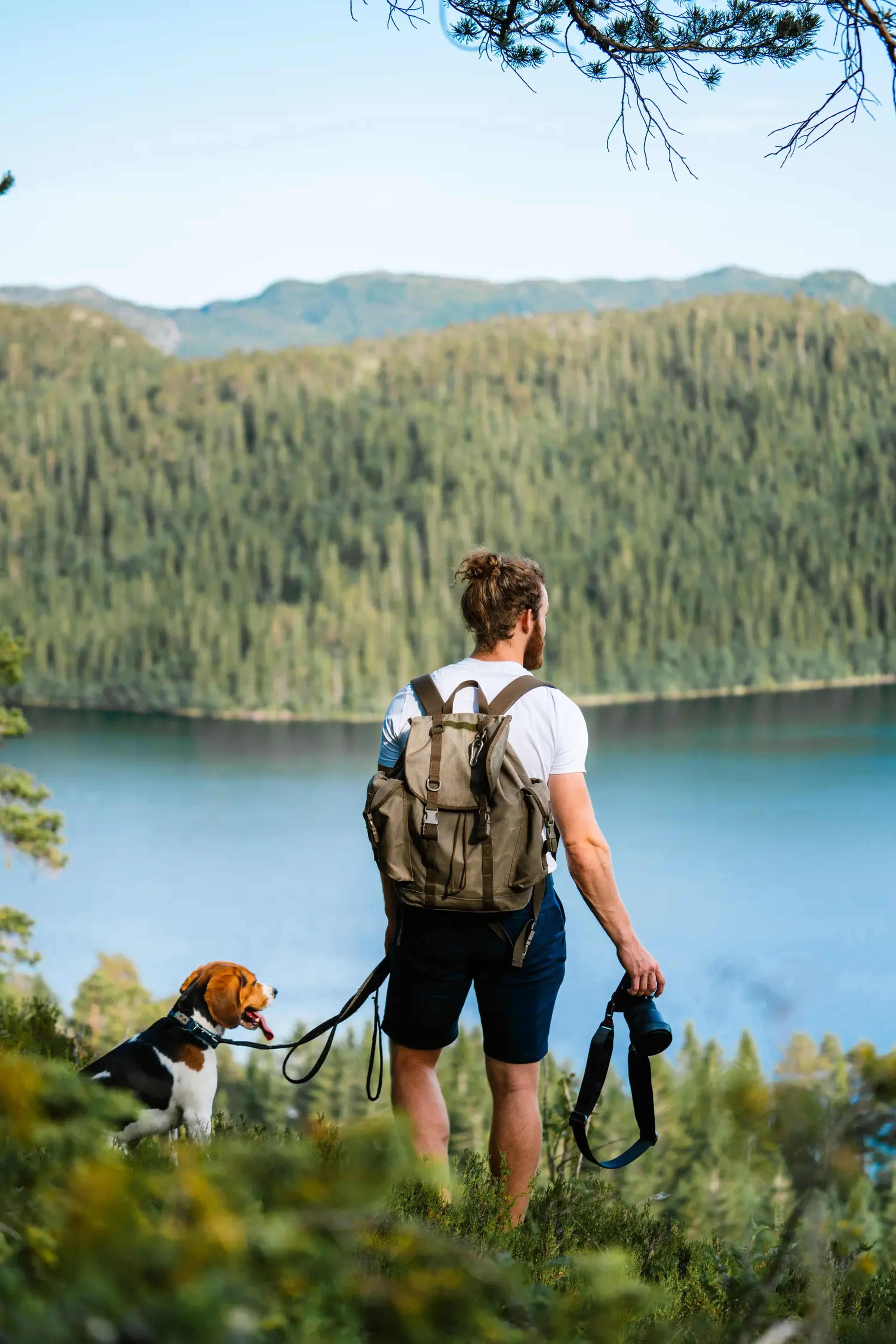 hundehalter mit beagle in den bergen