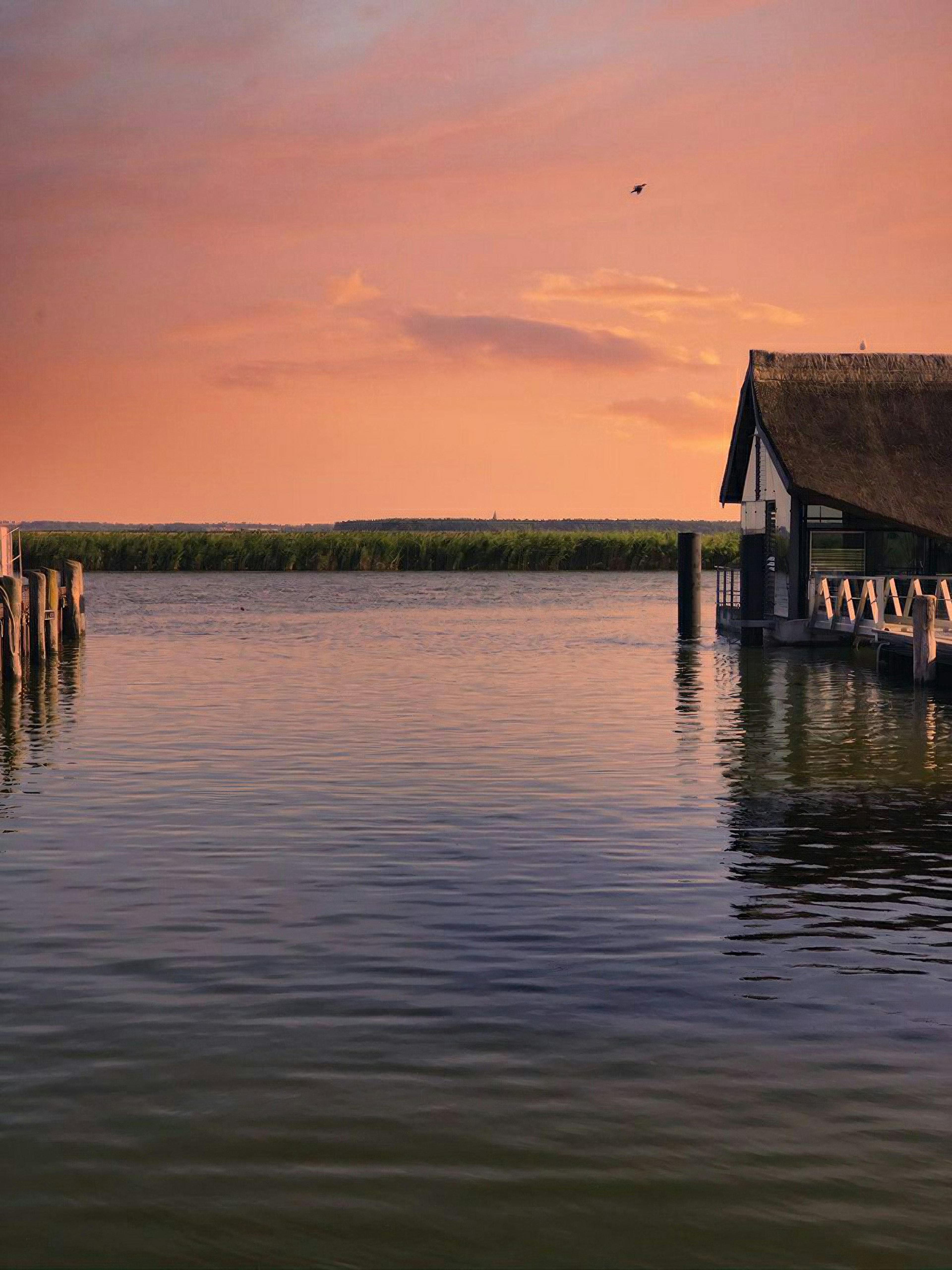 Atemberaubendes Fotolicht auf Fischland-Darß-Zingst