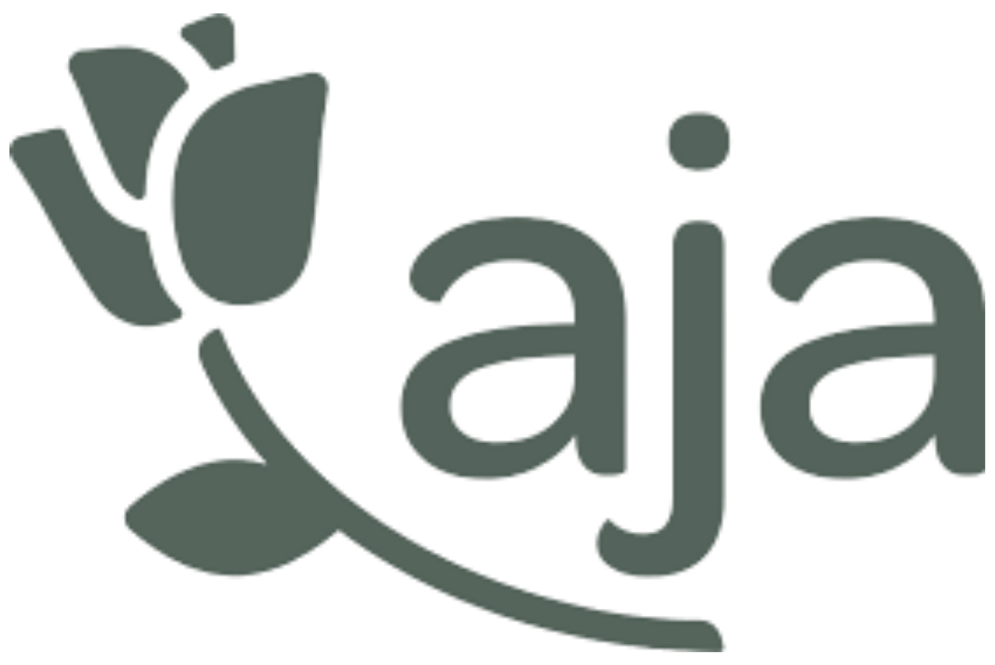 aja Logo in pine
