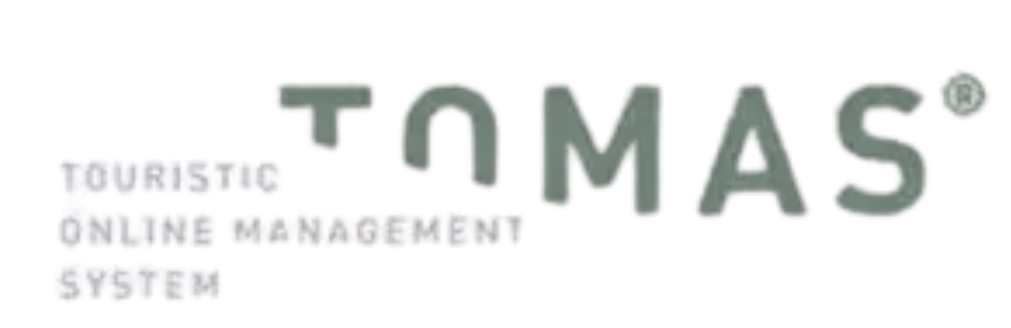 tomas logo Logo in pine