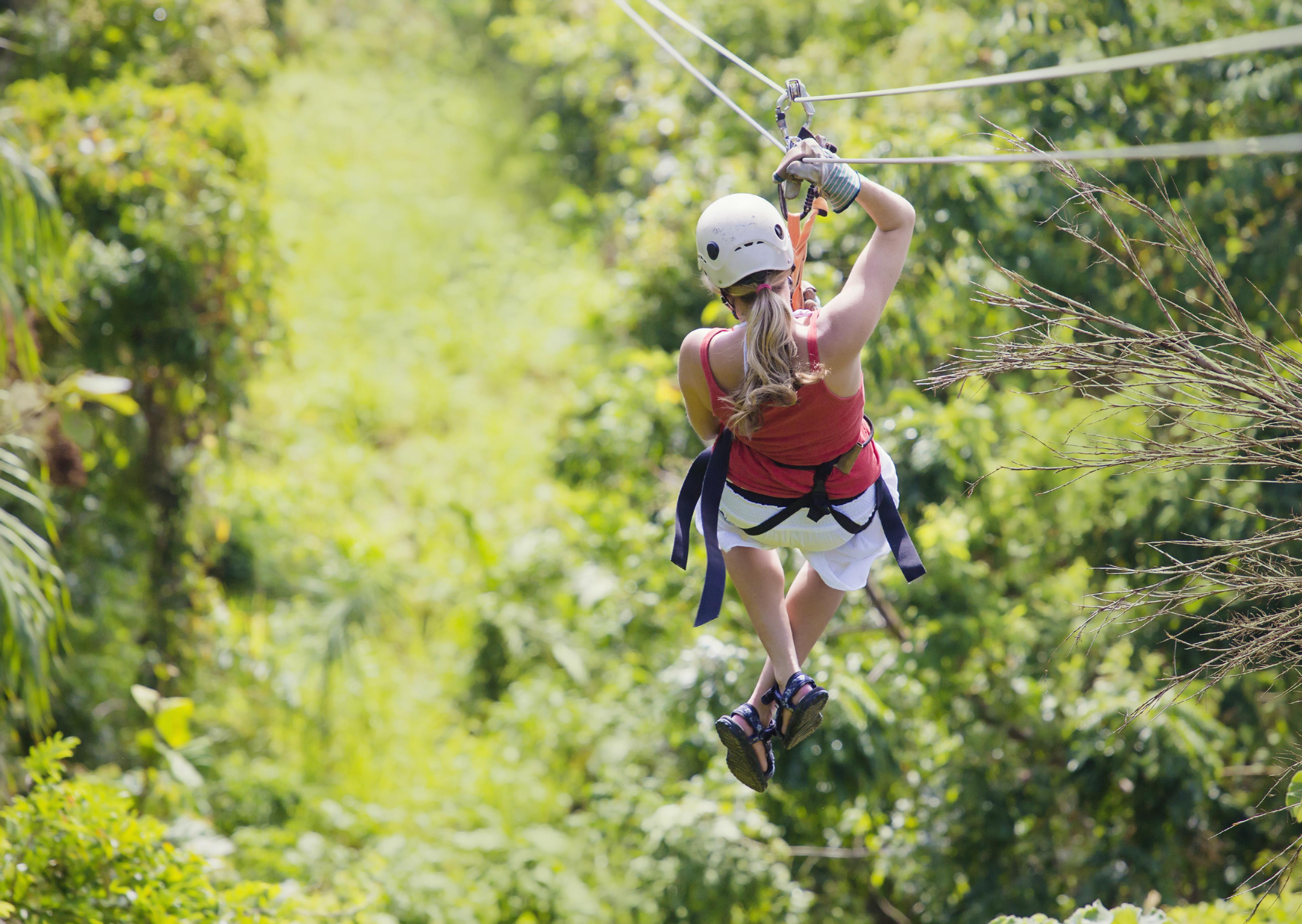Dschungel Zipline