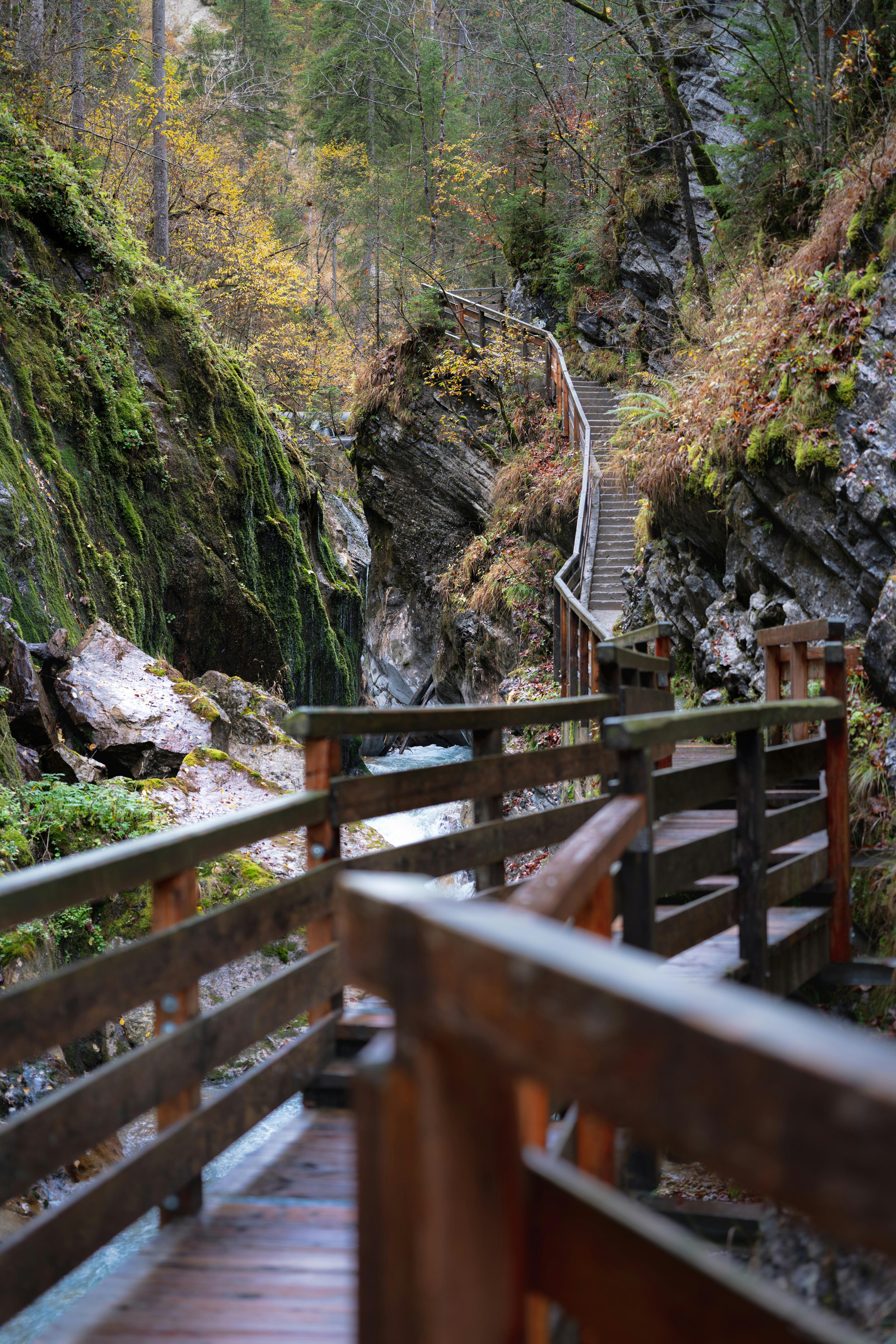 Holzstege durch die Wimbachklamm