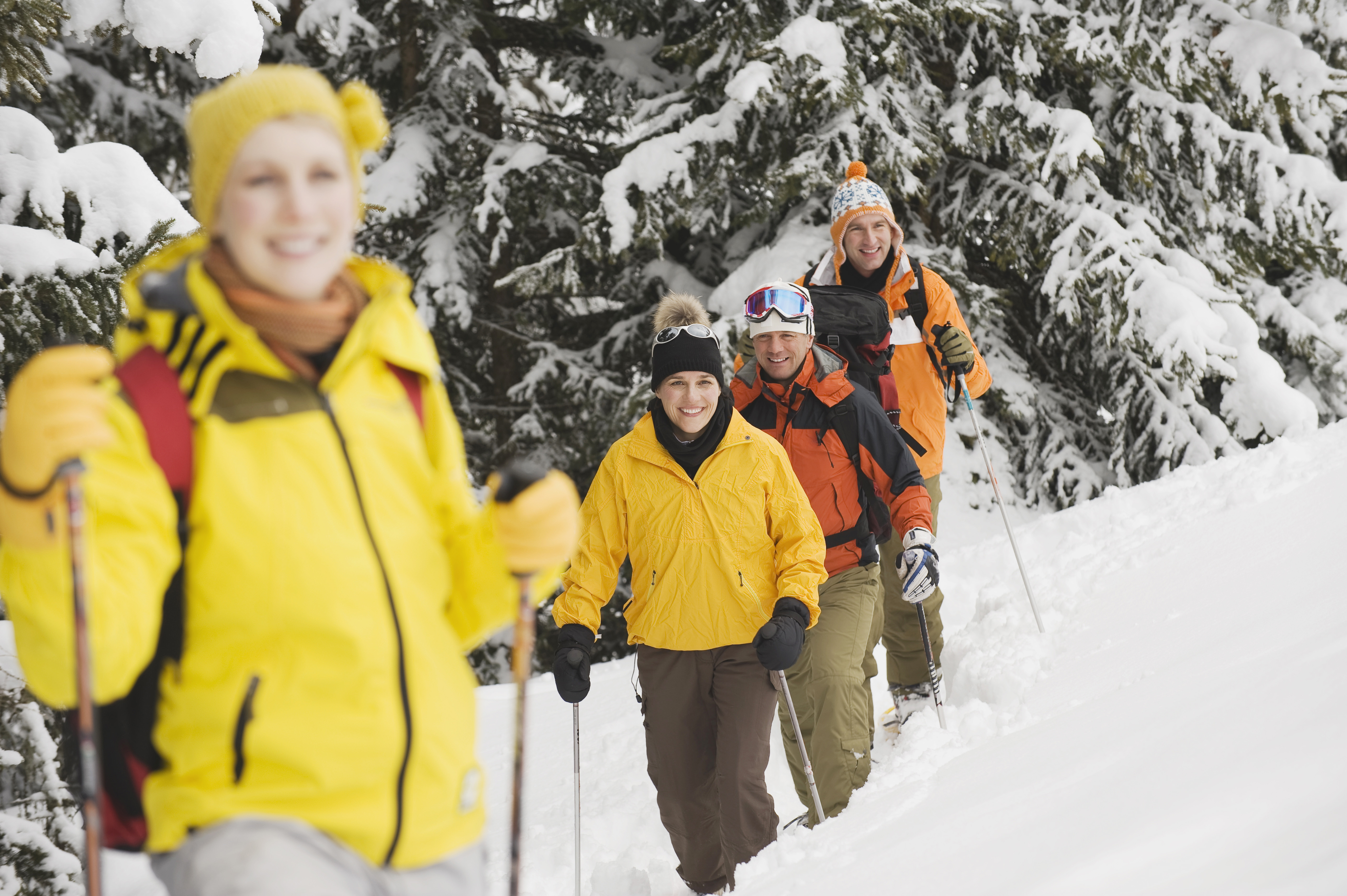 Vier Personen machen eine Schneeschuhwanderung durch eingeschneiten Wald.