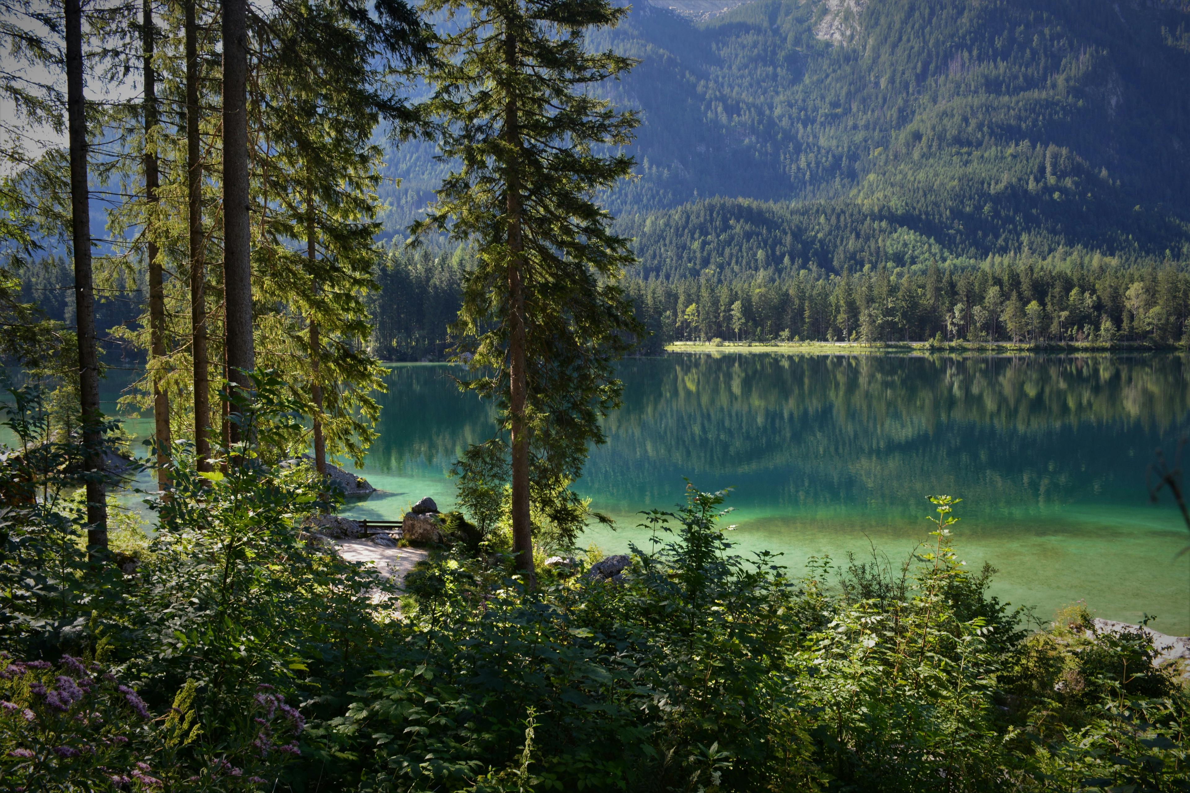 Ausblick auf den Hintersee