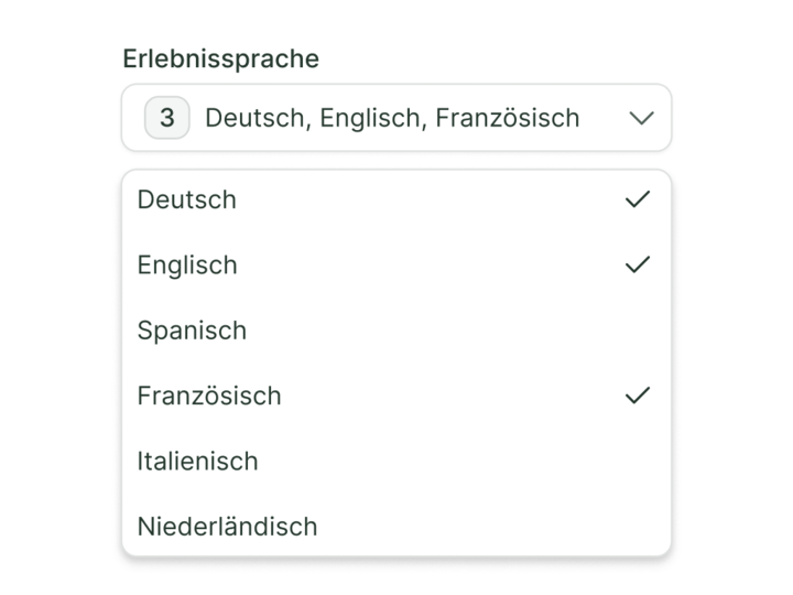 Ansicht eines Dropdowns zur Auswahl von Sprachen bei Erlebnissen im partner hub von 7fridays.