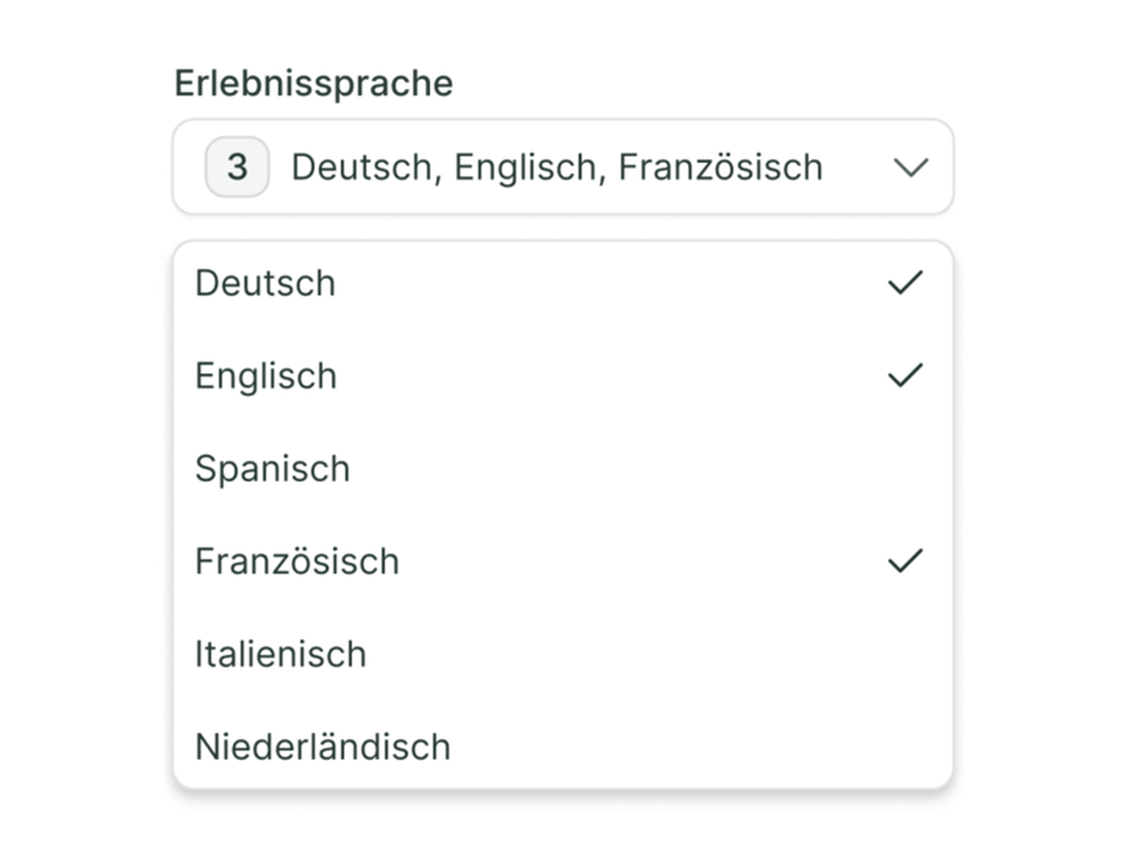 Ansicht eines Dropdowns zur Auswahl von Sprachen bei Erlebnissen im partner hub von 7fridays.