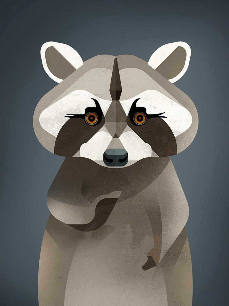 Waschbär