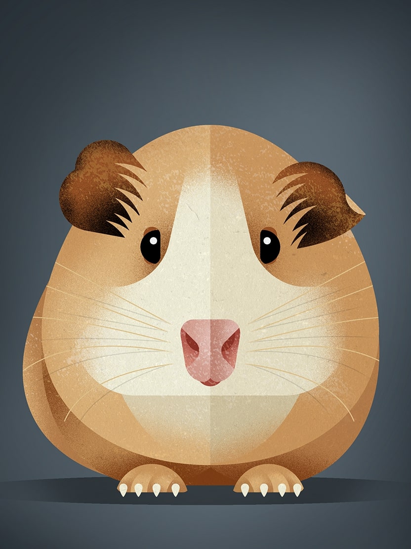 Hamster