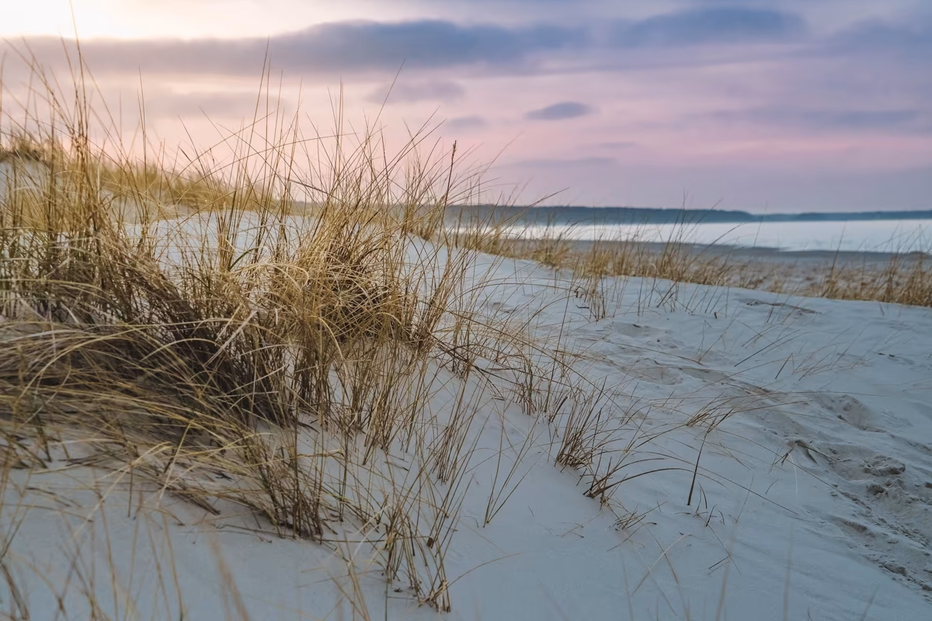 Dünen im Timmendorfer Strand