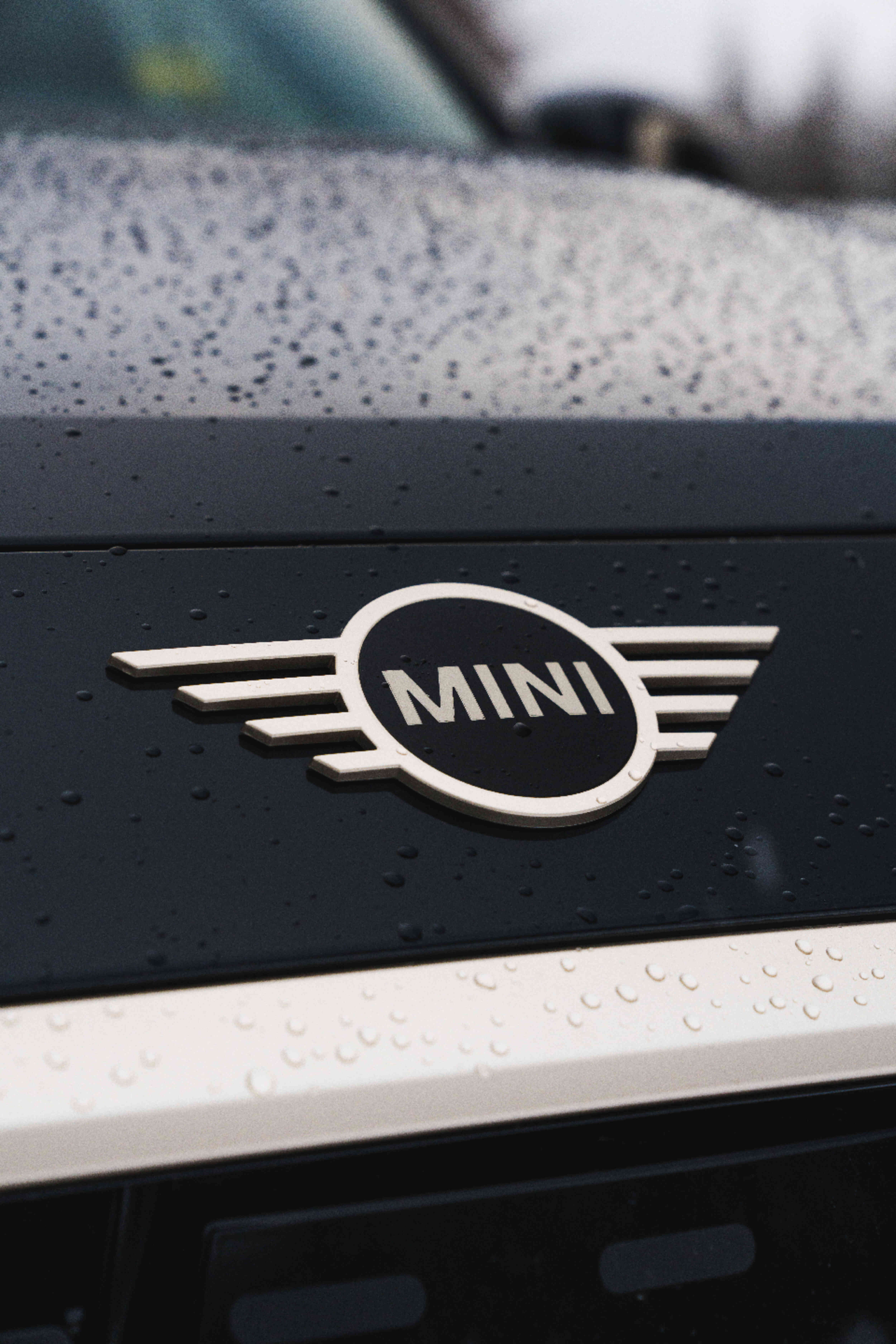Badges & Decals