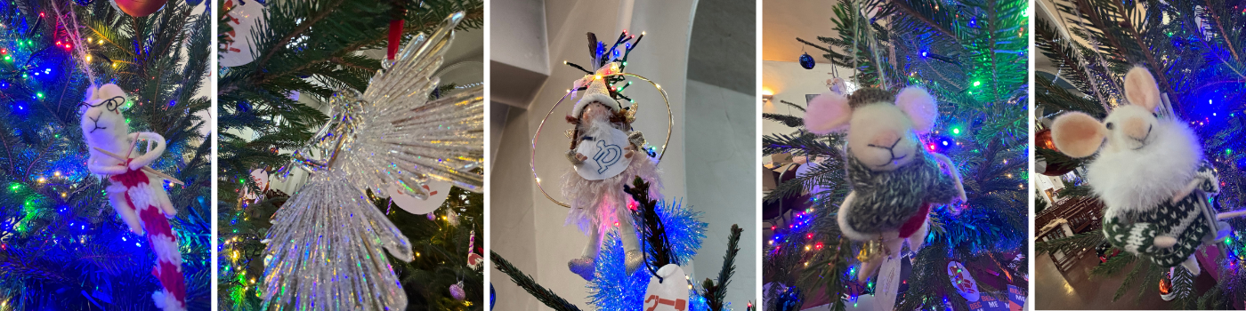 St Faiths Pics (Blog) (1)