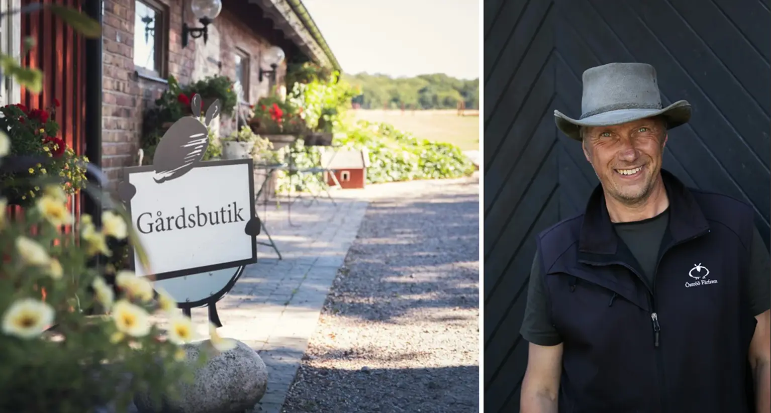 Inga långa processer, inget krångel för Öströö Fårfram.