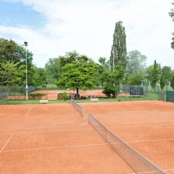 Tennisplätze von Tennis Treff Oswald