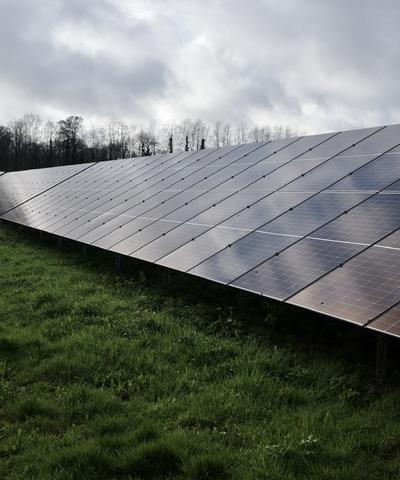 Solar farms and biodiversity