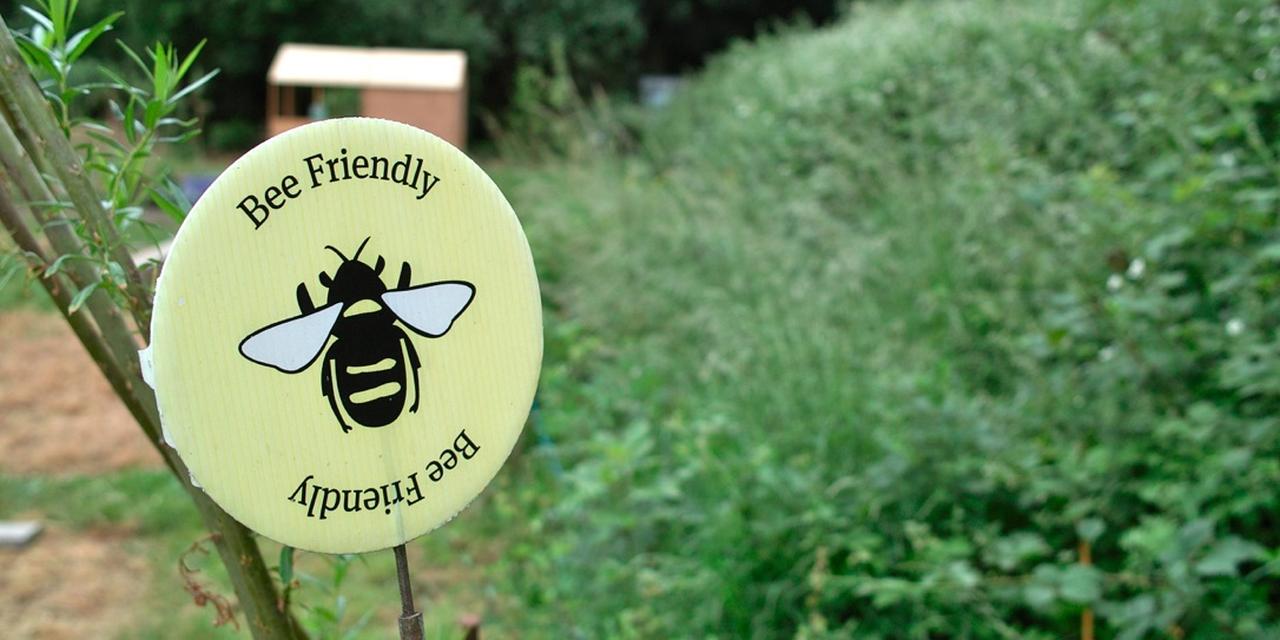 New grants for nature restoration & schools: apply soon!