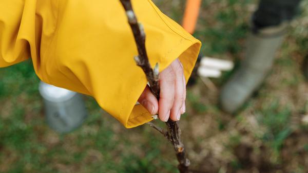 Setting up and running a Nature Conservation Group