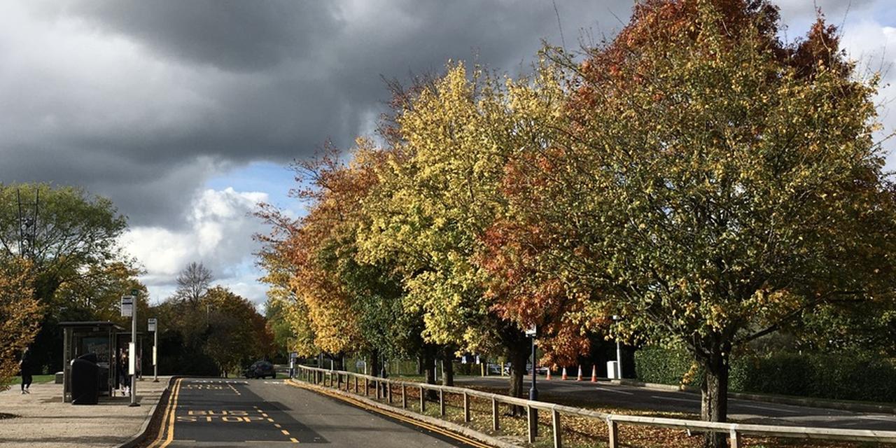 Commission Convenes Panel for Surrey’s Climate Delivery Plan