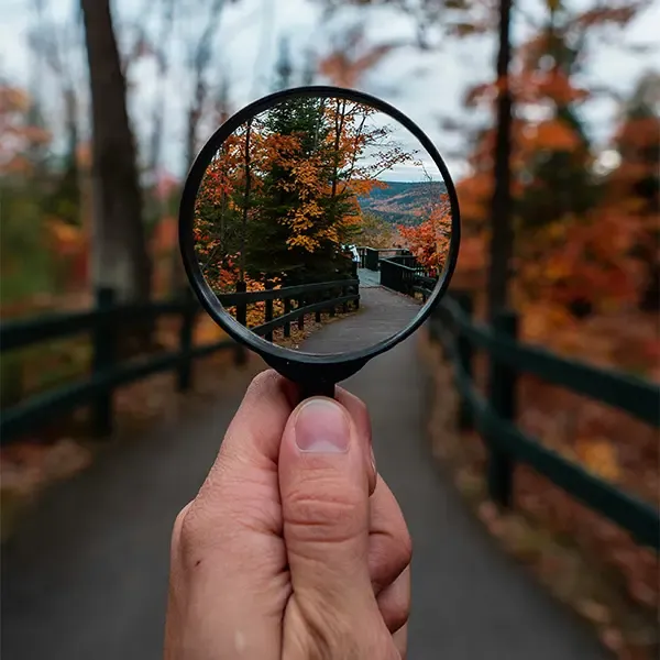 magnifying glass