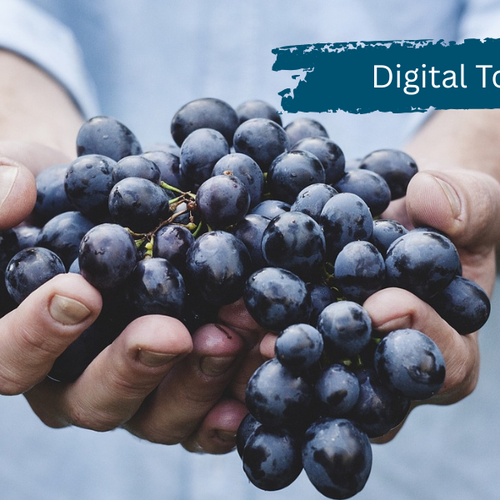 Digitales Toolkit "Sustainable Food"