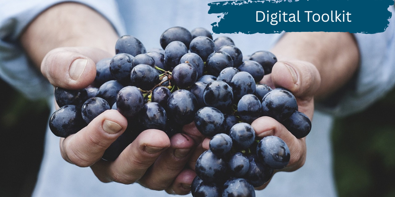 Digitales Toolkit "Sustainable Food"