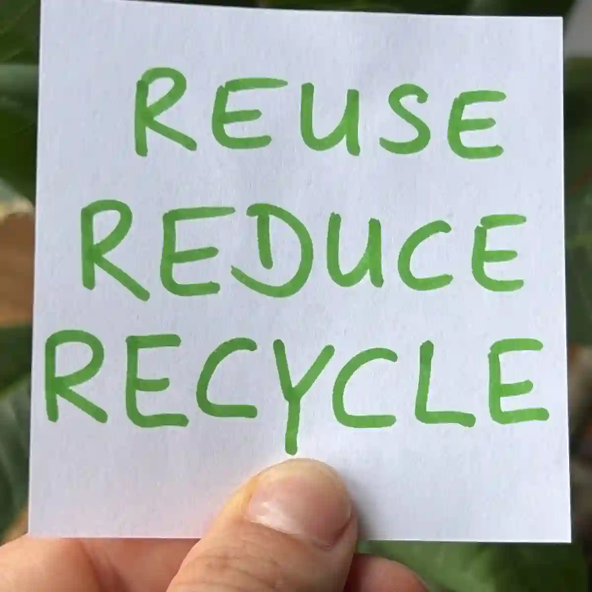 REMOVE – REDUCE – RECYCLE