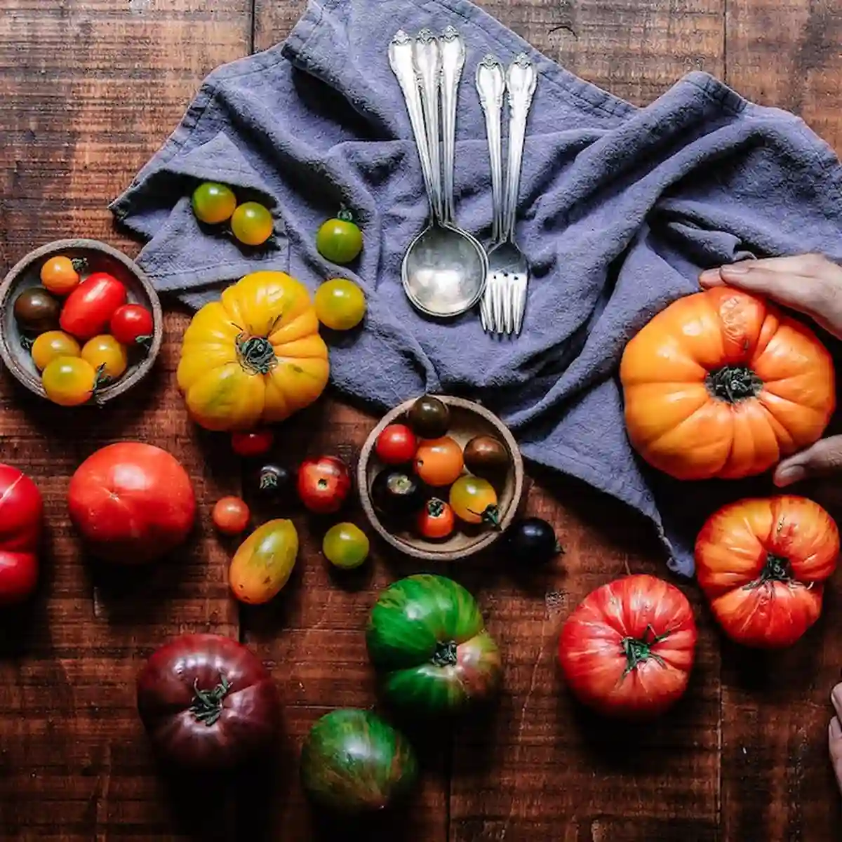 Biologische Vielfalt