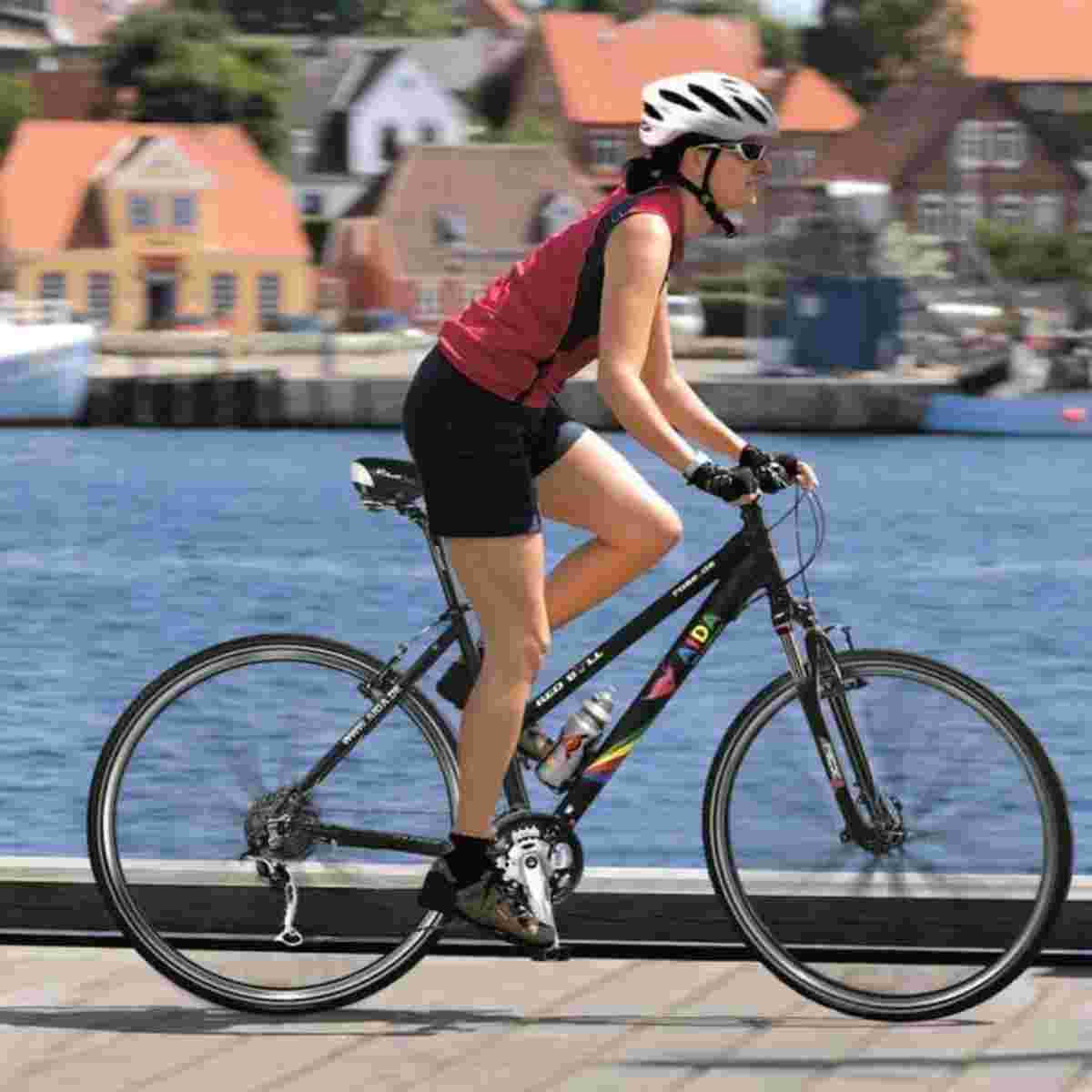 Kriterienkatalog für Nachhaltige Landausflüge vorgestellt